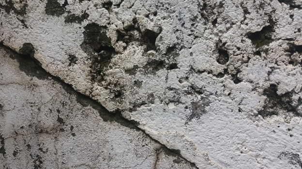 crawl spaces