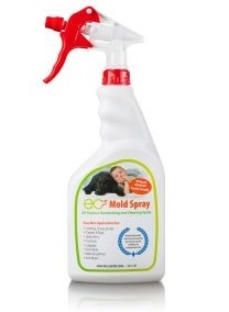 mold treatment spray